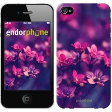 Чохол для iPhone 4s Пурпурові квіти 2719c-12