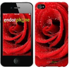 Чохол для iPhone 4s Червона троянда 529c-12