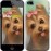 Чохол для iPhone SE Намальований йоркширський тер'єр 928c-214