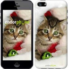 Чохол для iPhone 5s Новорічний кошеня в шапці 494c-21