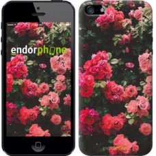 Чохол для iPhone SE Кущ з трояндами 2729c-214
