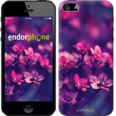 Чохол для iPhone 5 Пурпурові квіти 2719c-18