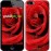 Чохол для iPhone 5s Червона троянда 529c-21