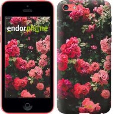 Чохол для iPhone 5c Кущ з трояндами 2729c-23