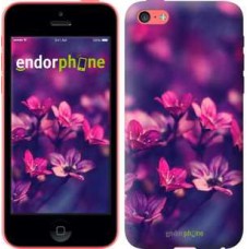 Чохол для iPhone 5c Пурпурові квіти 2719c-23