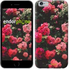 Чохол для iPhone 6s Кущ з трояндами 2729c-90
