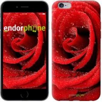 Чохол для iPhone 6s Plus Червона троянда 529c-91