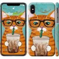 Чохол для iPhone XS Зеленоокий кіт в окулярах 4054m-1583