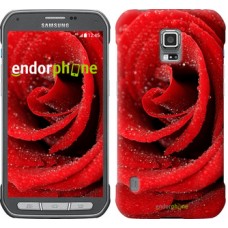 Чохол для Samsung Galaxy S5 Active G870 Червона троянда 529u-364
