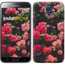 Чохол для Samsung Galaxy S5 Duos SM G900FD Кущ з трояндами 2729c-62