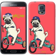 Чохол для Samsung Galaxy S5 Duos SM G900FD Мопс на велосипеді 3072c-62