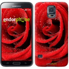 Чохол для Samsung Galaxy S5 Duos SM G900FD Червона троянда 529c-62