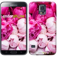 Чохол для Samsung Galaxy S5 Duos SM G900FD Рожеві півонії 2747c-62