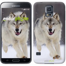 Чохол для Samsung Galaxy S5 Duos SM G900FD біжить вовк 826c-62