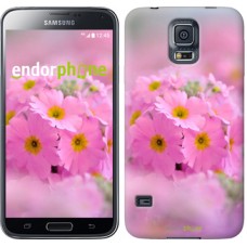 Чохол для Samsung Galaxy S5 G900H Рожева примула 508c-24