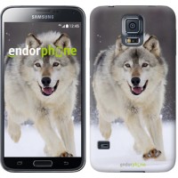 Чохол для Samsung Galaxy S5 G900H біжить вовк 826c-24