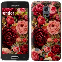Чохол для Samsung Galaxy S5 mini G800H Квітучі троянди 2701m-44