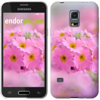 Чохол для Samsung Galaxy S5 mini G800H Рожева примула 508m-44