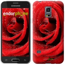 Чохол для Samsung Galaxy S5 mini G800H Червона троянда 529m-44