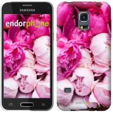 Чохол для Samsung Galaxy S5 mini G800H Рожеві півонії 2747m-44