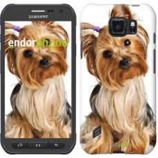 Чохол для Samsung Galaxy S6 active G890 Йоркширський тер'єр з хвостиком 930u-331