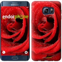 Чохол для Samsung Galaxy S6 Edge Plus G928 Червона троянда 529u-189