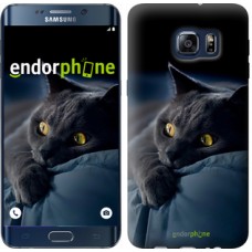 Чохол для Samsung Galaxy S6 Edge Plus G928 Димчастий кіт 825u-189