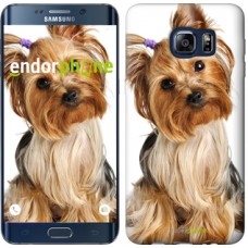 Чохол для Samsung Galaxy S6 Edge Plus G928 Йоркширський тер'єр з хвостиком 930u-189