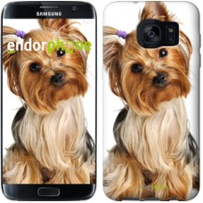 Чохол для Samsung Galaxy S7 Edge G935F Йоркширський тер'єр з хвостиком 930c-257
