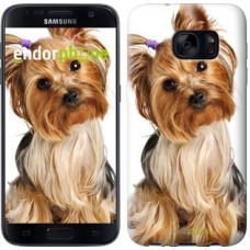 Чохол для Samsung Galaxy S7 G930F Йоркширський тер'єр з хвостиком 930m-106