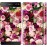 Чохол для Sony Xperia C5 Ultra Dual E5533 Троянди і півонії 2875m-506
