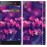 Чохол для Sony Xperia XA1 Пурпурові квіти 2719m-964