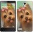 Чохол для Xiaomi Redmi Note Намальований йоркширський тер'єр 928u-111